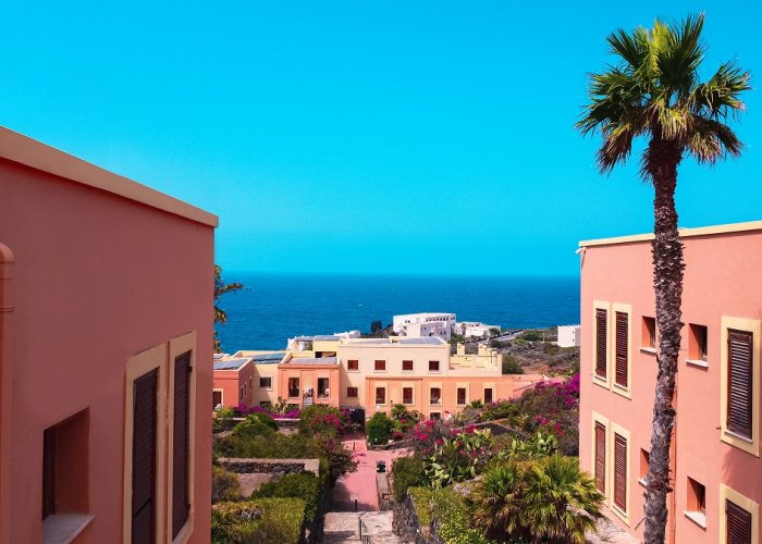 Pacc. Hotel Qalea + Volo + Nolo